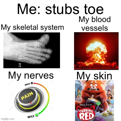 Toe | image tagged in toes,pain,the human body | made w/ Imgflip meme maker