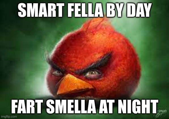 we do a little trolling | SMART FELLA BY DAY; FART SMELLA AT NIGHT | image tagged in realistic red angry birds | made w/ Imgflip meme maker