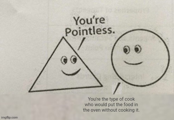 Not a true cook | You're the type of cook who would put the food in the oven without cooking it. | image tagged in you're pointless blank,the cook,cooking,memes,oven,food | made w/ Imgflip meme maker