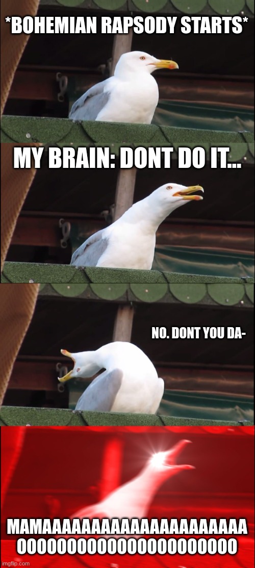 fr tho | *BOHEMIAN RAPSODY STARTS*; MY BRAIN: DONT DO IT... NO. DONT YOU DA-; MAMAAAAAAAAAAAAAAAAAAAAA
OOOOOOOOOOOOOOOOOOOOOO | image tagged in memes,inhaling seagull | made w/ Imgflip meme maker