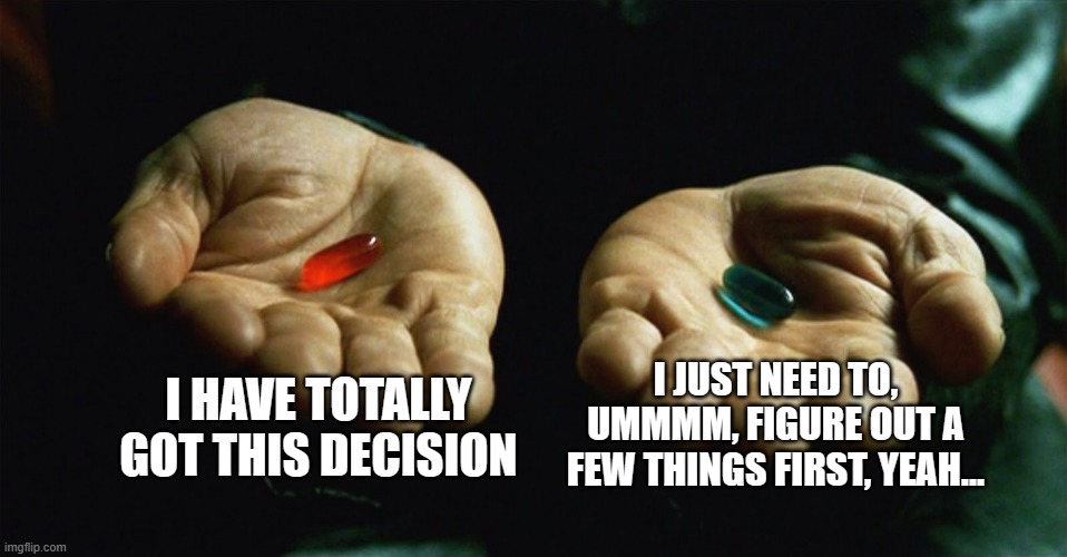 Red pill blue pill | I HAVE TOTALLY GOT THIS DECISION; I JUST NEED TO, UMMMM, FIGURE OUT A FEW THINGS FIRST, YEAH... | image tagged in red pill blue pill | made w/ Imgflip meme maker