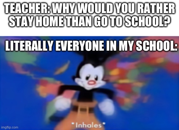 we have a lot of answers teacher | TEACHER: WHY WOULD YOU RATHER STAY HOME THAN GO TO SCHOOL? LITERALLY EVERYONE IN MY SCHOOL: | image tagged in yakko inhale | made w/ Imgflip meme maker