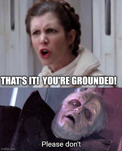 THAT'S IT!  YOU'RE GROUNDED! Please don't | image tagged in angry leia,palpatine please dont | made w/ Imgflip meme maker