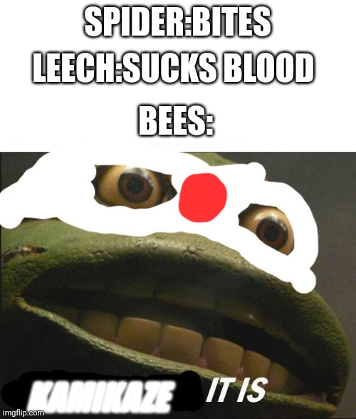 KAMIKAZE IT IS | SPIDER:BITES; LEECH:SUCKS BLOOD; BEES:; KAMIKAZE | image tagged in cowabunga it is,kamikaze,bees | made w/ Imgflip meme maker
