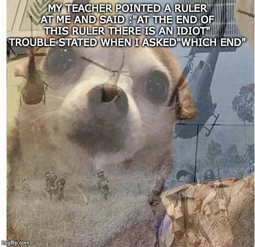 this is my class now | MY TEACHER POINTED A RULER AT ME AND SAID :"AT THE END OF THIS RULER THERE IS AN IDIOT" TROUBLE STATED WHEN I ASKED"WHICH END" | image tagged in ptsd chihuahua,funny,memes,true story,the is an idiot at the end,gigachad theme | made w/ Imgflip meme maker