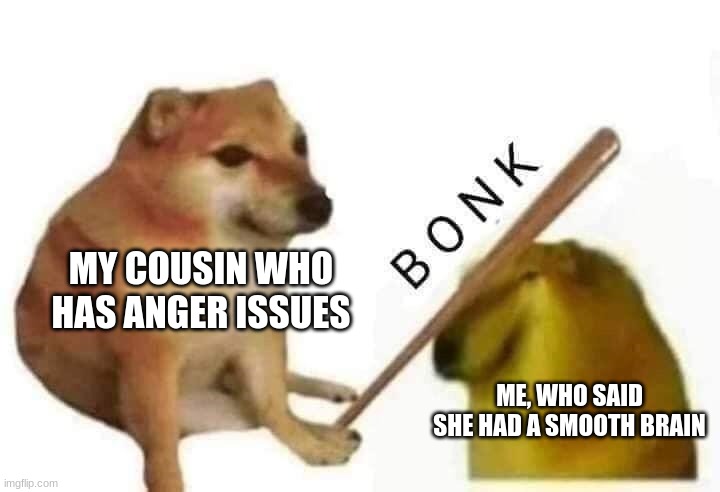 Doge bonk | MY COUSIN WHO HAS ANGER ISSUES; ME, WHO SAID SHE HAD A SMOOTH BRAIN | image tagged in doge bonk | made w/ Imgflip meme maker