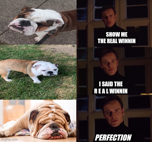 The real winnin | SHOW ME THE REAL WINNIN; I SAID THE R E A L WINNIN; PERFECTION | image tagged in perfection | made w/ Imgflip meme maker