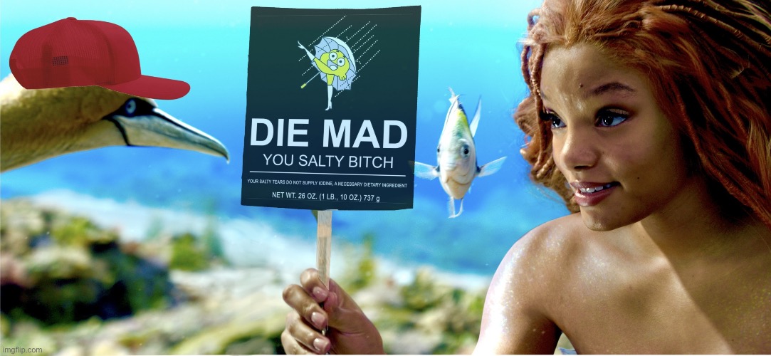 Little Mermaid - Die Mad | image tagged in little mermaid - die mad | made w/ Imgflip meme maker