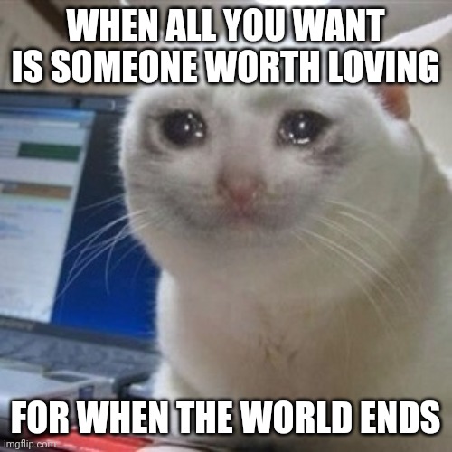 I'll love you sad cat | WHEN ALL YOU WANT IS SOMEONE WORTH LOVING; FOR WHEN THE WORLD ENDS | image tagged in crying cat | made w/ Imgflip meme maker
