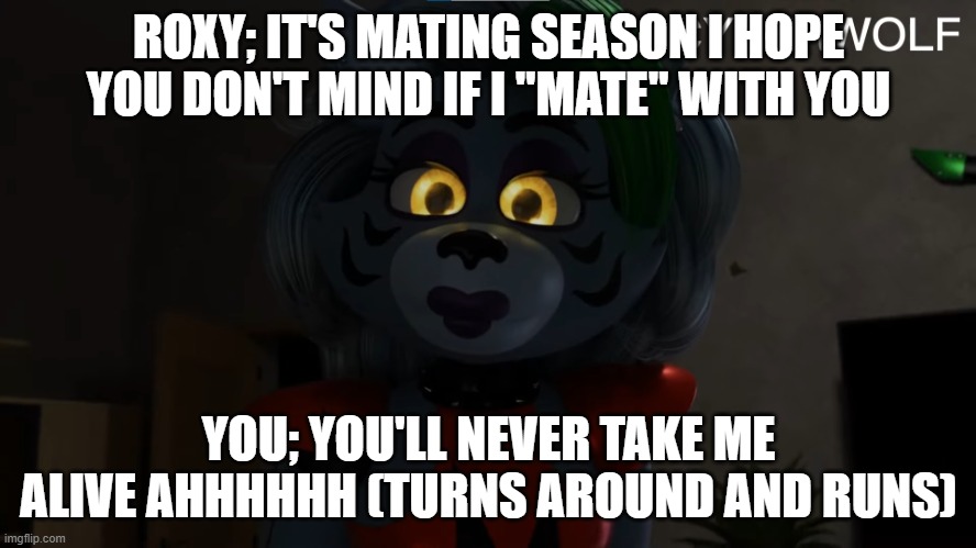 roxy the whoe | ROXY; IT'S MATING SEASON I HOPE YOU DON'T MIND IF I "MATE" WITH YOU; YOU; YOU'LL NEVER TAKE ME ALIVE AHHHHHH (TURNS AROUND AND RUNS) | image tagged in roxy | made w/ Imgflip meme maker