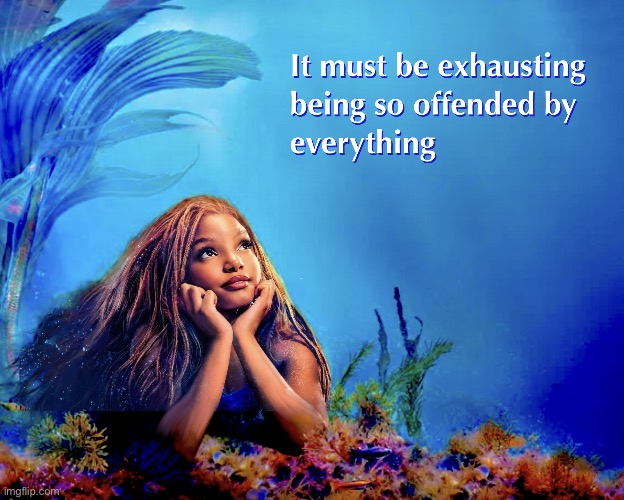 Offended by everything | image tagged in offended by everything | made w/ Imgflip meme maker