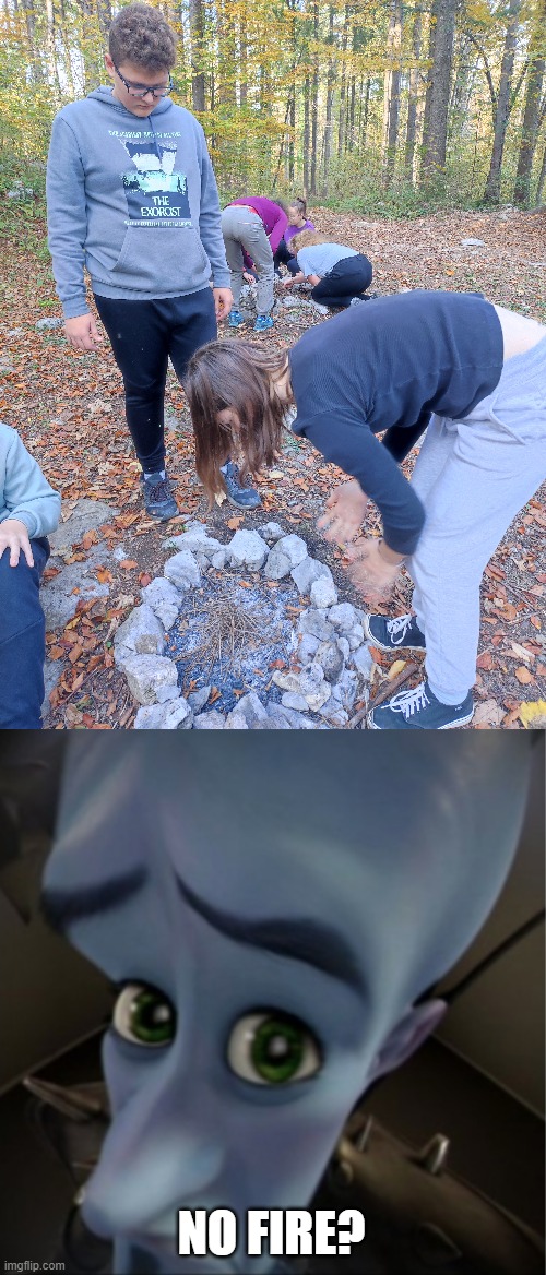 NO FIRE? | image tagged in megamind peeking | made w/ Imgflip meme maker
