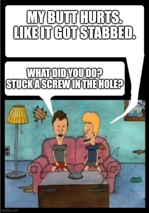Stabbed butt | MY BUTT HURTS. LIKE IT GOT STABBED. WHAT DID YOU DO? STUCK A SCREW IN THE HOLE? | image tagged in beavis and butthead | made w/ Imgflip meme maker