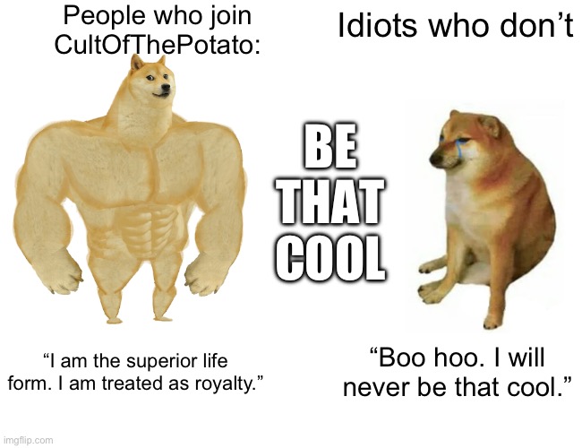 Buff Doge vs. Cheems Meme | People who join CultOfThePotato:; Idiots who don’t; BE THAT COOL; “I am the superior life form. I am treated as royalty.”; “Boo hoo. I will never be that cool.” | image tagged in memes,buff doge vs cheems | made w/ Imgflip meme maker
