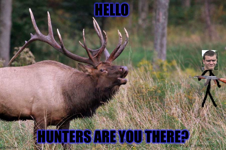 Screaming elk | HELLO; HUNTERS ARE YOU THERE? | image tagged in screaming elk | made w/ Imgflip meme maker