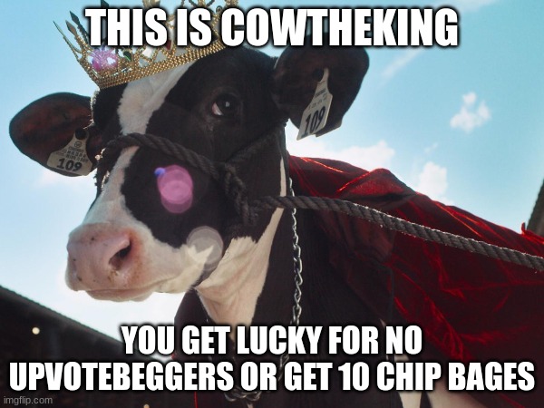 cowtheking is givng you 2 options | THIS IS COWTHEKING; YOU GET LUCKY FOR NO UPVOTEBEGGERS OR GET 10 CHIP BAGES | image tagged in luckpet,2options | made w/ Imgflip meme maker