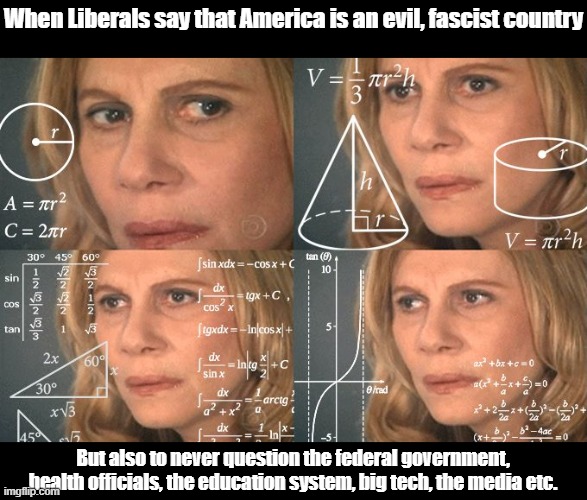Confusing times | When Liberals say that America is an evil, fascist country; But also to never question the federal government, health officials, the education system, big tech, the media etc. | image tagged in calculating meme,memes,liberals,leftists,corruption,fascism | made w/ Imgflip meme maker