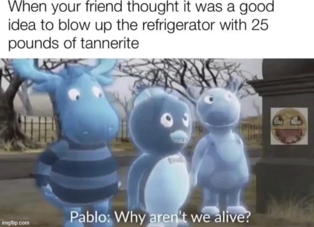 image tagged in memes | made w/ Imgflip meme maker