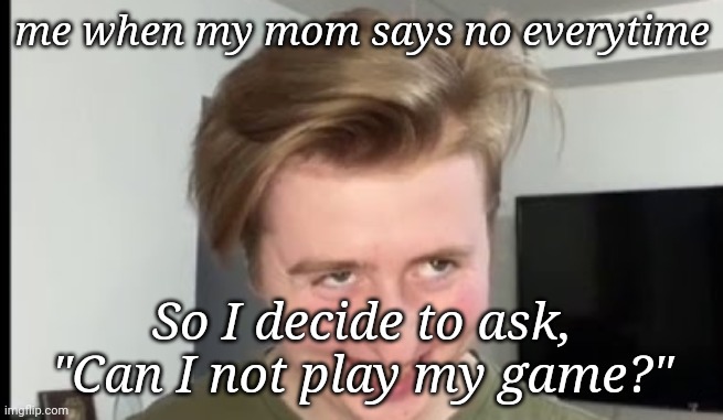 THE FACE | me when my mom says no everytime; So I decide to ask, "Can I not play my game?" | image tagged in the face | made w/ Imgflip meme maker