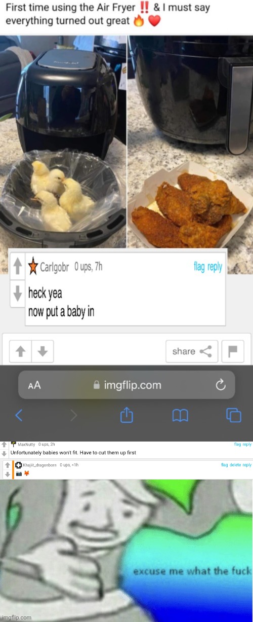 Bro. Why | image tagged in excuse me but wtf,air fryer,baby | made w/ Imgflip meme maker