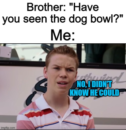 You mean he could do this... this WHOLE TIME? :O | Brother: "Have you seen the dog bowl?"; Me:; NO, I DIDN'T KNOW HE COULD | image tagged in you guys are getting paid | made w/ Imgflip meme maker