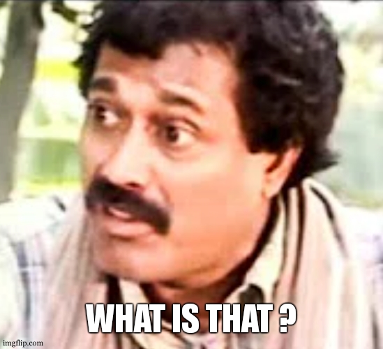 what was that? | WHAT IS THAT ? | image tagged in what was that | made w/ Imgflip meme maker