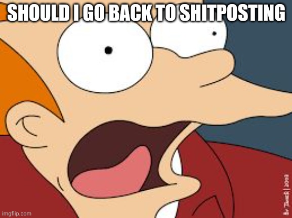 fry screaming  | SHOULD I GO BACK TO SHITPOSTING | image tagged in fry screaming | made w/ Imgflip meme maker