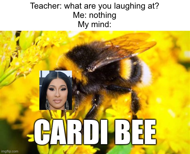 Meme #1,882 | Teacher: what are you laughing at?
Me: nothing
My mind:; CARDI BEE | image tagged in memes,teacher,cardi b,bees,funny,puns | made w/ Imgflip meme maker