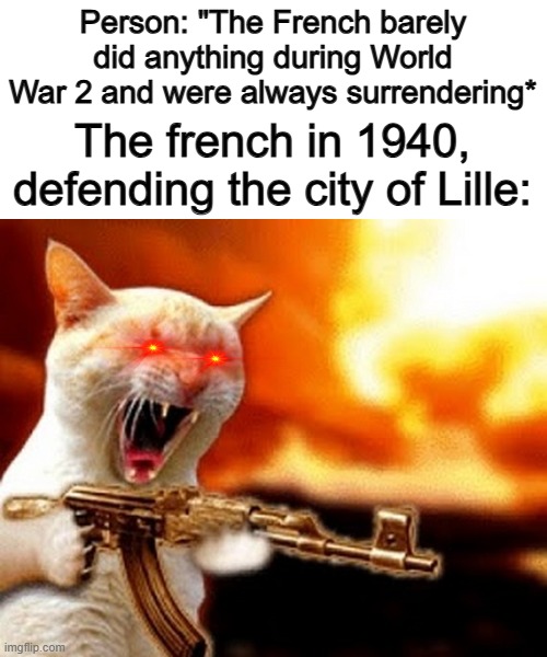 *Demonic French screaming* | Person: "The French barely did anything during World War 2 and were always surrendering*; The french in 1940, defending the city of Lille: | image tagged in machine gun cat | made w/ Imgflip meme maker