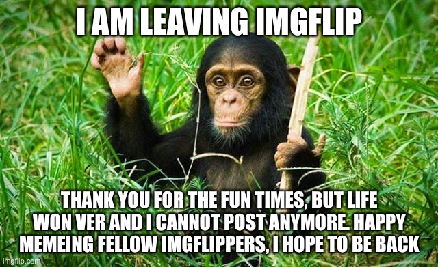 Bye | I AM LEAVING IMGFLIP; THANK YOU FOR THE FUN TIMES, BUT LIFE WON VER AND I CANNOT POST ANYMORE. HAPPY MEMEING FELLOW IMGFLIPPERS, I HOPE TO BE BACK | image tagged in goodbye | made w/ Imgflip meme maker