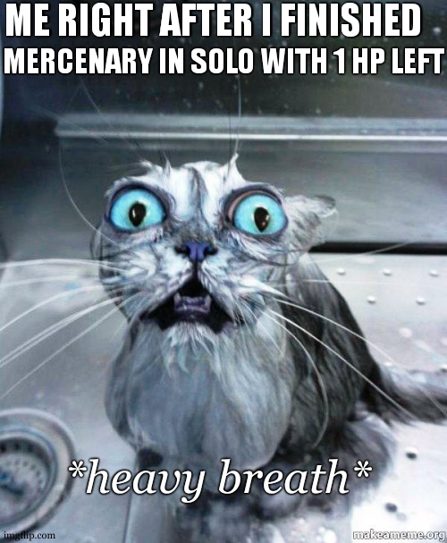 i even have footage | ME RIGHT AFTER I FINISHED; MERCENARY IN SOLO WITH 1 HP LEFT; *heavy breath* | image tagged in help me wet cat | made w/ Imgflip meme maker
