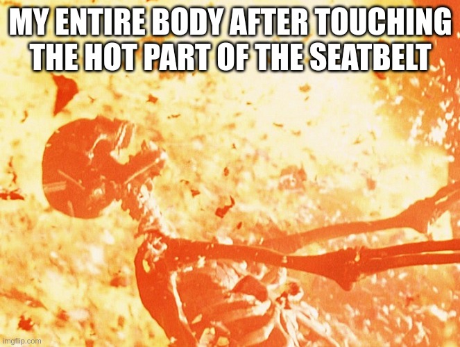AAAAAAAAAAAAAAAAAAAAAAAAAAAAAAAAAAAAAAA | MY ENTIRE BODY AFTER TOUCHING THE HOT PART OF THE SEATBELT | image tagged in fire skeleton,summer,fun,gif | made w/ Imgflip meme maker