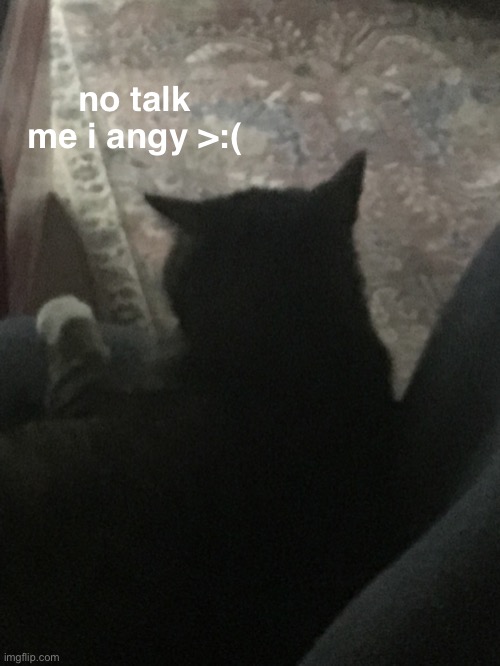 no talk me i angy >:( | made w/ Imgflip meme maker