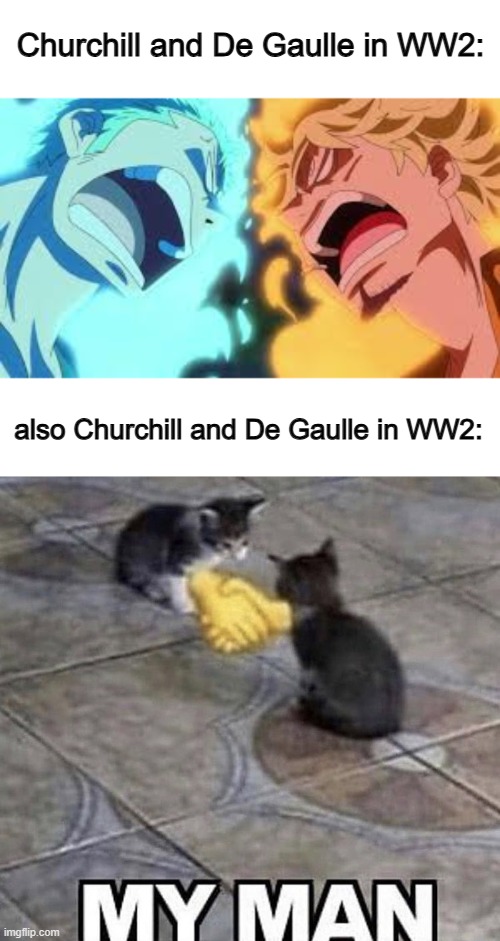 They apparently agreed to help each other, but their relationship was without tension :P | Churchill and De Gaulle in WW2:; also Churchill and De Gaulle in WW2: | image tagged in zoro and sanji hate eachother,cats shaking hands | made w/ Imgflip meme maker