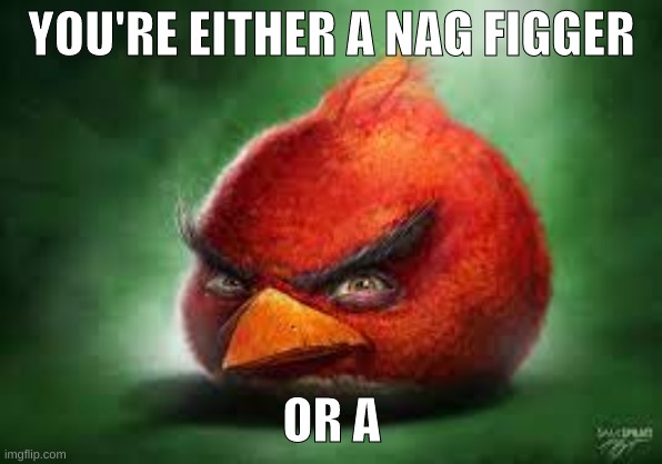 hehe | YOU'RE EITHER A NAG FIGGER; OR A | image tagged in realistic red angry birds | made w/ Imgflip meme maker