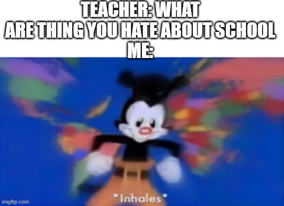 what are some thing you hate about school? | TEACHER: WHAT ARE THING YOU HATE ABOUT SCHOOL
ME: | image tagged in yakko inhale | made w/ Imgflip meme maker