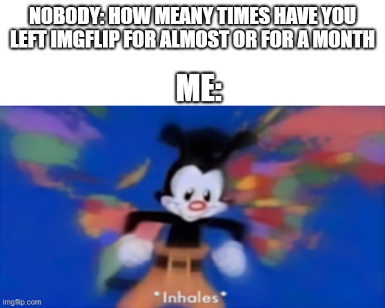 i know nobody asked | NOBODY: HOW MEANY TIMES HAVE YOU LEFT IMGFLIP FOR ALMOST OR FOR A MONTH; ME: | image tagged in yakko inhale | made w/ Imgflip meme maker