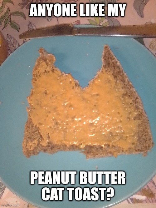 Cat Toast | ANYONE LIKE MY; PEANUT BUTTER CAT TOAST? | image tagged in cat,toast | made w/ Imgflip meme maker