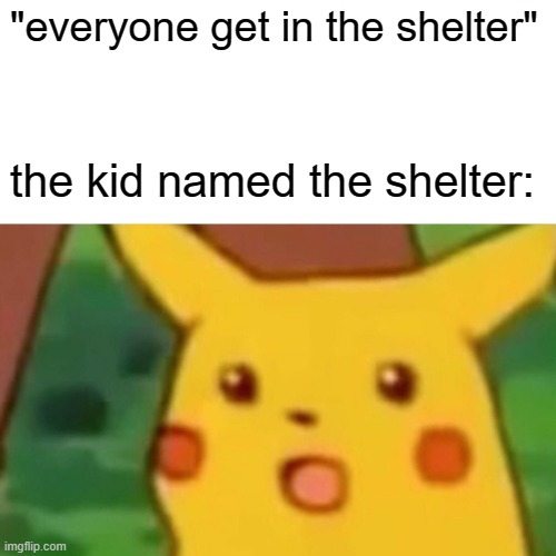 Surprised Pikachu | "everyone get in the shelter"; the kid named the shelter: | image tagged in memes,surprised pikachu | made w/ Imgflip meme maker