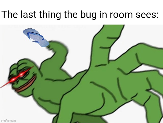 pepe punch | The last thing the bug in room sees: | image tagged in pepe punch | made w/ Imgflip meme maker