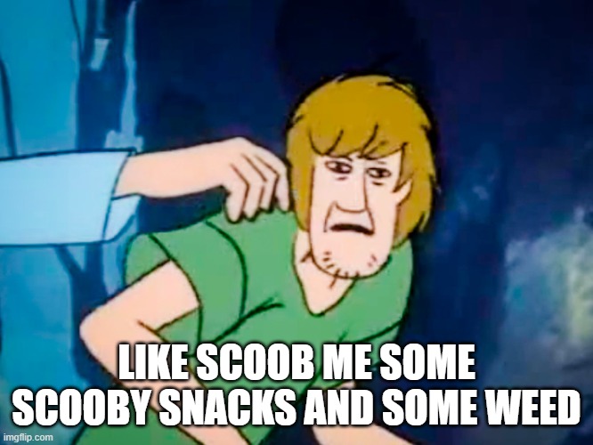Shaggy meme | LIKE SCOOB ME SOME SCOOBY SNACKS AND SOME WEED | image tagged in shaggy meme | made w/ Imgflip meme maker