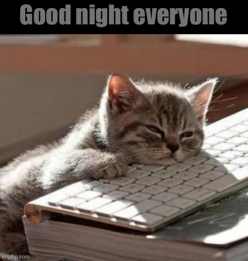 tired cat | Good night everyone | image tagged in tired cat | made w/ Imgflip meme maker