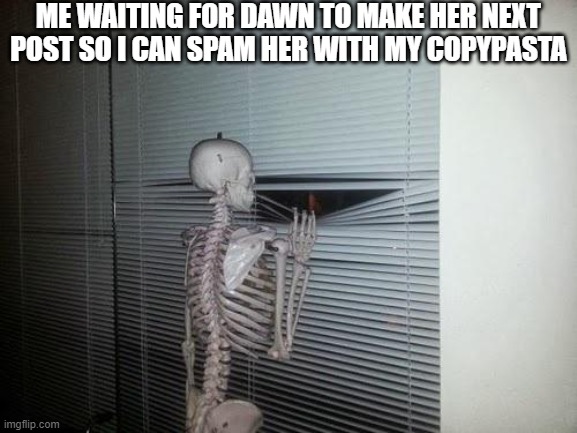Skeleton Looking Out Window | ME WAITING FOR DAWN TO MAKE HER NEXT POST SO I CAN SPAM HER WITH MY COPYPASTA | image tagged in skeleton looking out window | made w/ Imgflip meme maker