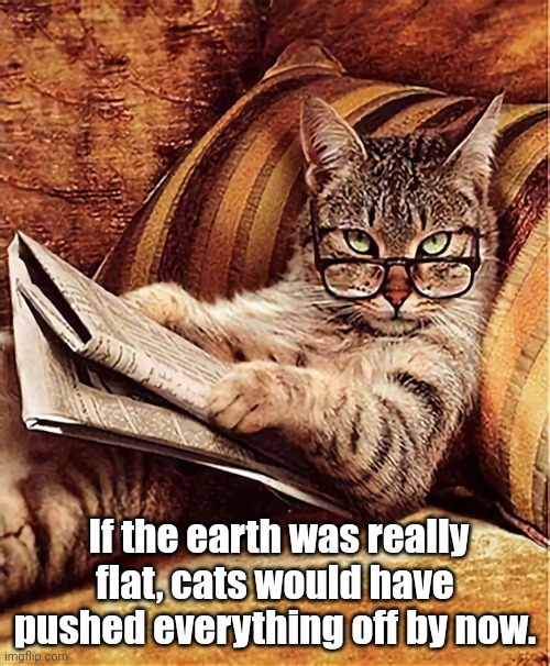 Flat Earth Theory debunked | If the earth was really flat, cats would have pushed everything off by now. | image tagged in cats,flat earth,round earth | made w/ Imgflip meme maker