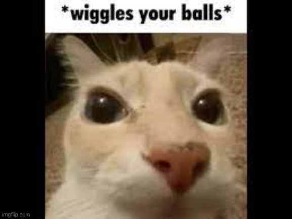 wiggles your balls | image tagged in wiggles your balls | made w/ Imgflip meme maker