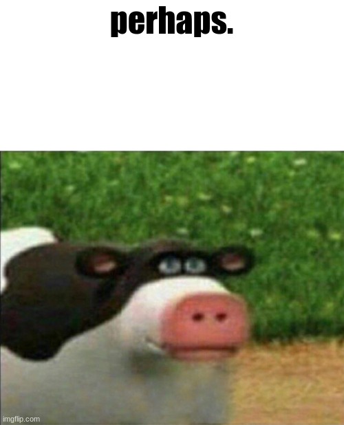 Perhaps cow | perhaps. | image tagged in perhaps cow | made w/ Imgflip meme maker