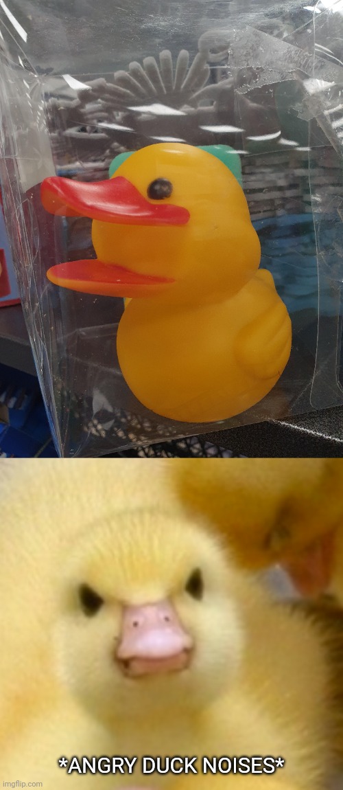 Crappy duck design | *ANGRY DUCK NOISES* | image tagged in angry duck,crappy design,duck,you had one job,memes,design fails | made w/ Imgflip meme maker
