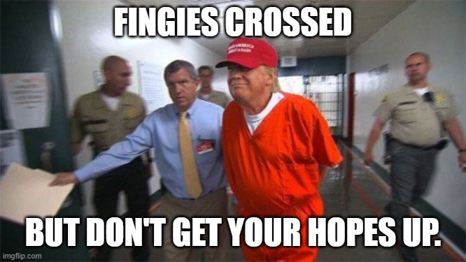 trump prison | FINGIES CROSSED BUT DON'T GET YOUR HOPES UP. | image tagged in trump prison | made w/ Imgflip meme maker
