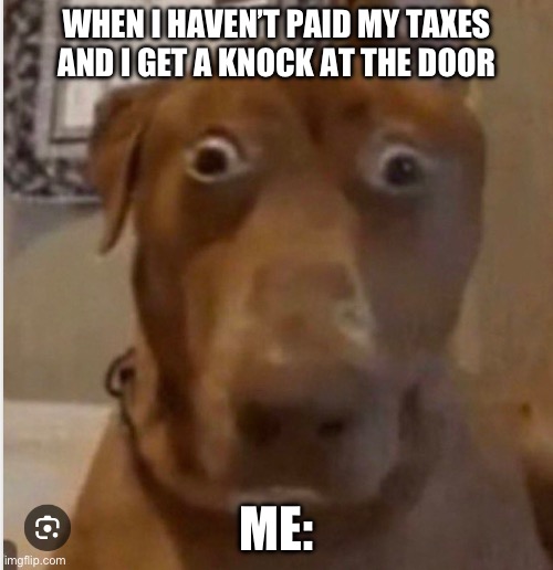 WHEN I HAVEN’T PAID MY TAXES AND I GET A KNOCK AT THE DOOR; ME: | made w/ Imgflip meme maker
