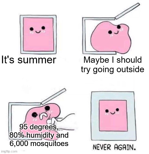 Went out for 5 minutes earlier and got like 7 mosquito bites smh | It's summer; Maybe I should try going outside; 95 degrees, 80% humidity and 6,000 mosquitoes | image tagged in never again,memes,summer | made w/ Imgflip meme maker